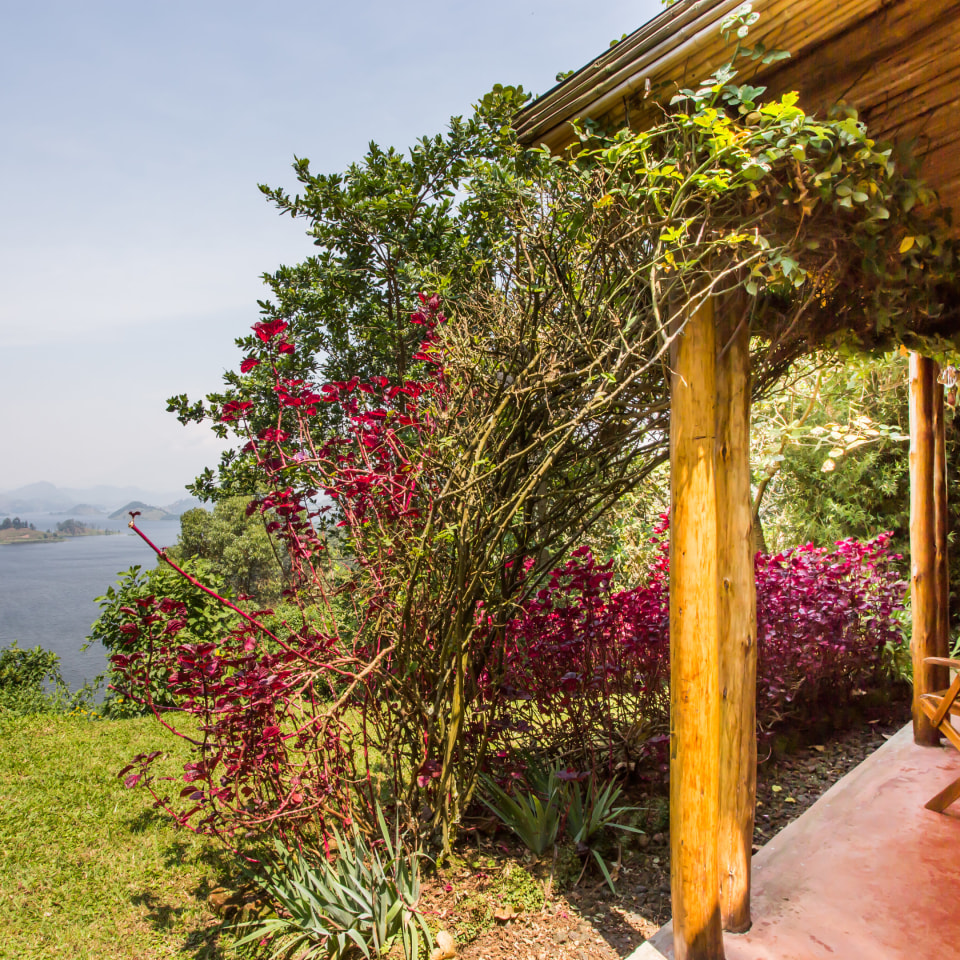Chameleon Hill Lodge